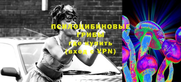 ECSTASY Медвежьегорск