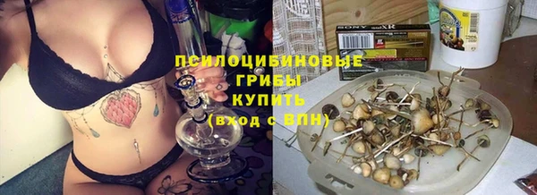 индика Алексеевка