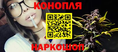 индика Гагарин