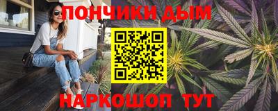 индика Гагарин