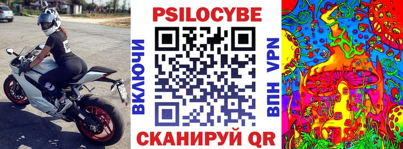 OMG вход  Таганрог  Псилоцибиновые грибы Cubensis 