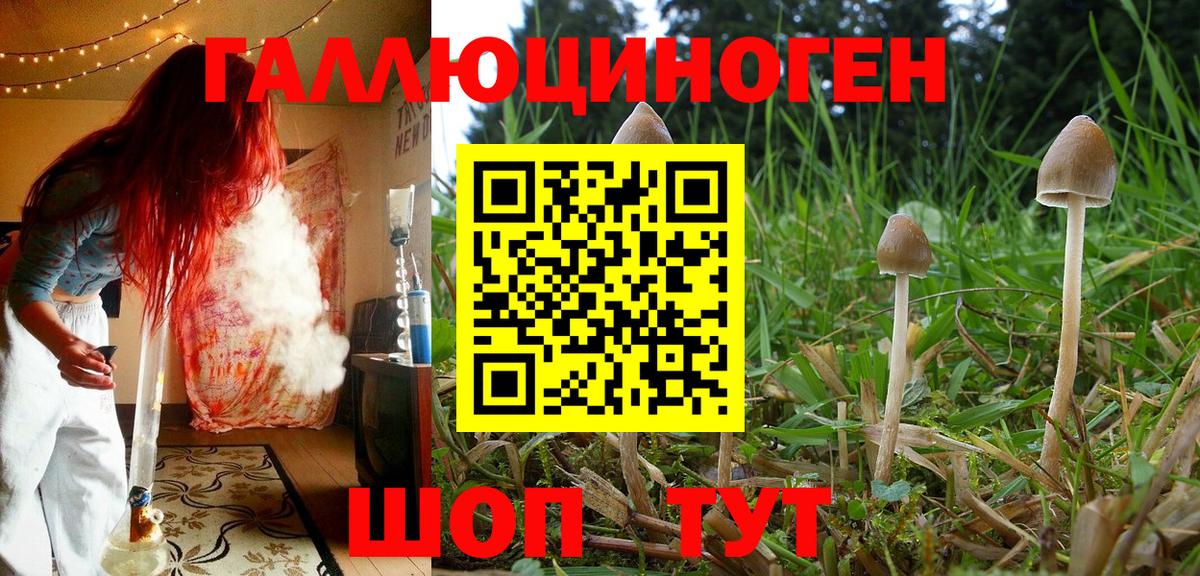 даркнет сайт  Вход с VPN  Таганрог  Галлюциногенные грибы Psilocybine cubensis 