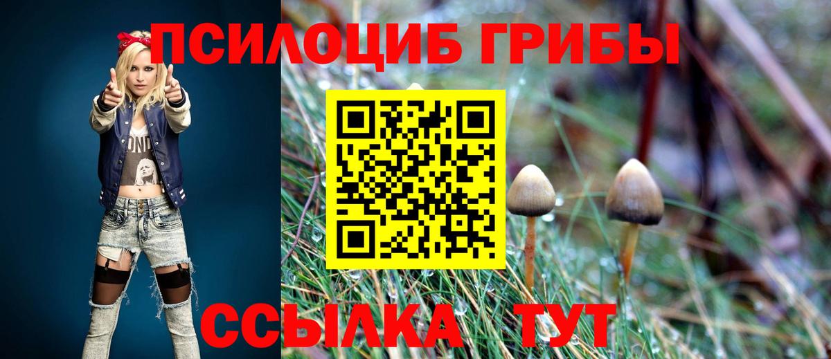 Псилоцибиновые грибы Psilocybine cubensis Таганрог