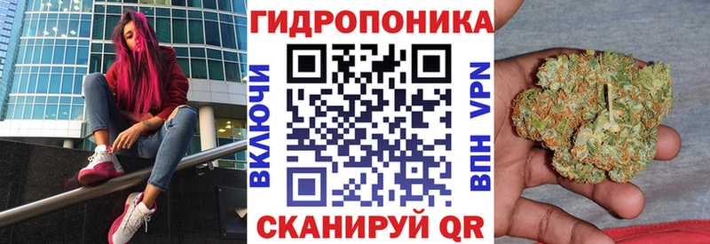 дарнет шоп  hydra tor  Бошки марихуана гибрид  Таганрог 