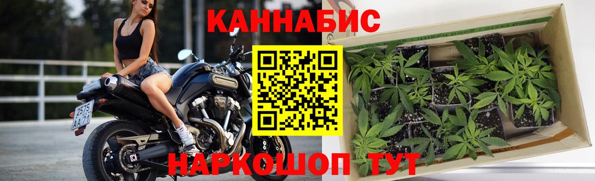 Бошки марихуана индика  Вход с VPN  МАРИХУАНА семена  Таганрог  Марихуана тримм 